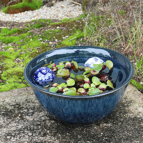 楽天市場】睡蓮鉢 ブルーの通販