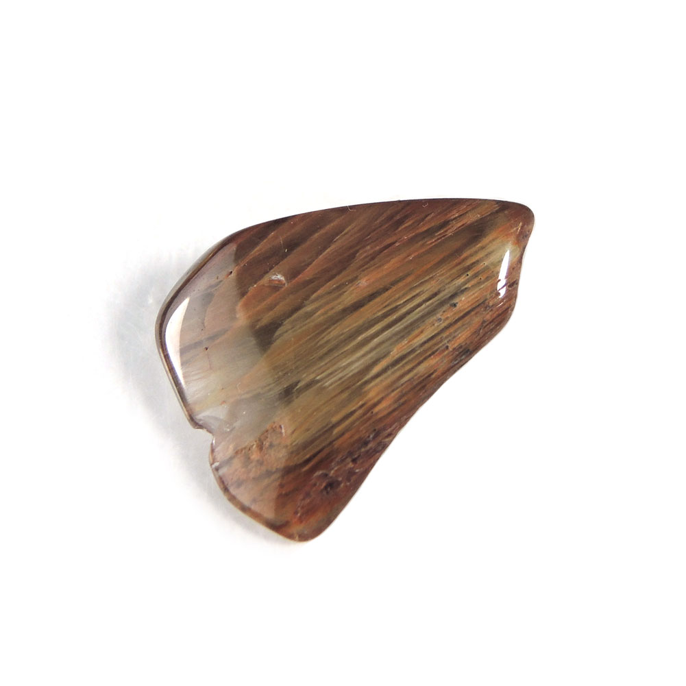 木 化石 ペトリファイドウッド」の人気商品一覧 | 安い商品を通販