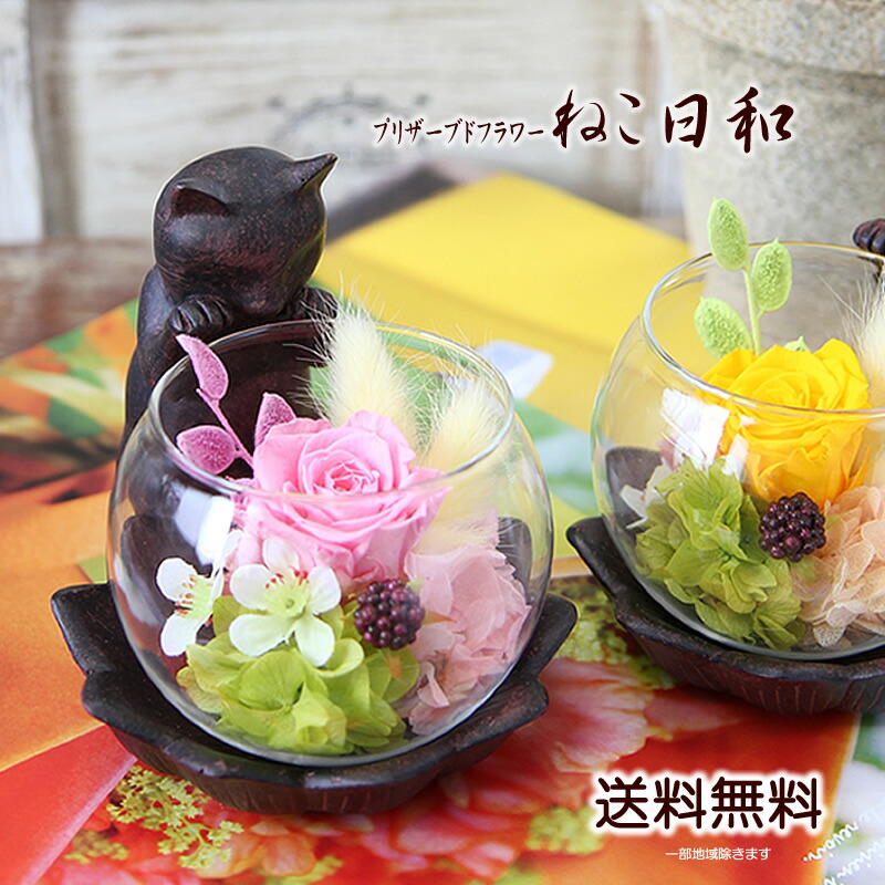 楽天市場】プリザーブドフラワー 覗き込む猫 ねこ日和 花 ギフト