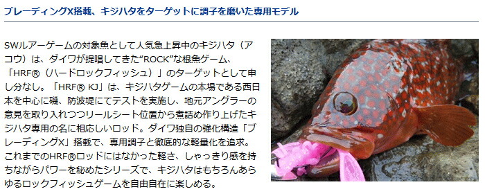 楽天市場】ロックフィッシュロッド ダイワ HRF KJ キジハタ 77MHB