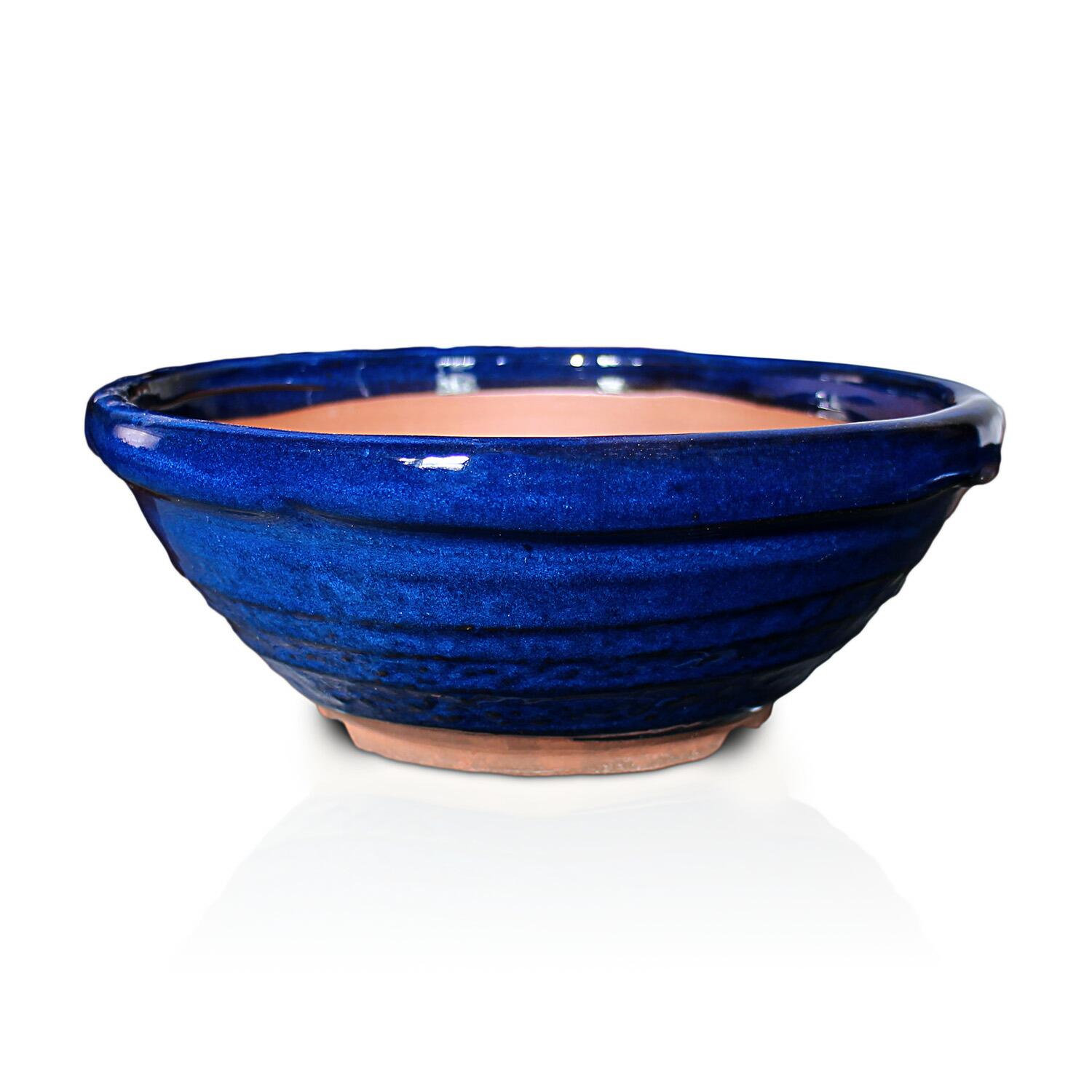 楽天市場】盆栽鉢 陶器 6号 丸山草鉢 おしゃれ 専門店 水色 緑 白 青