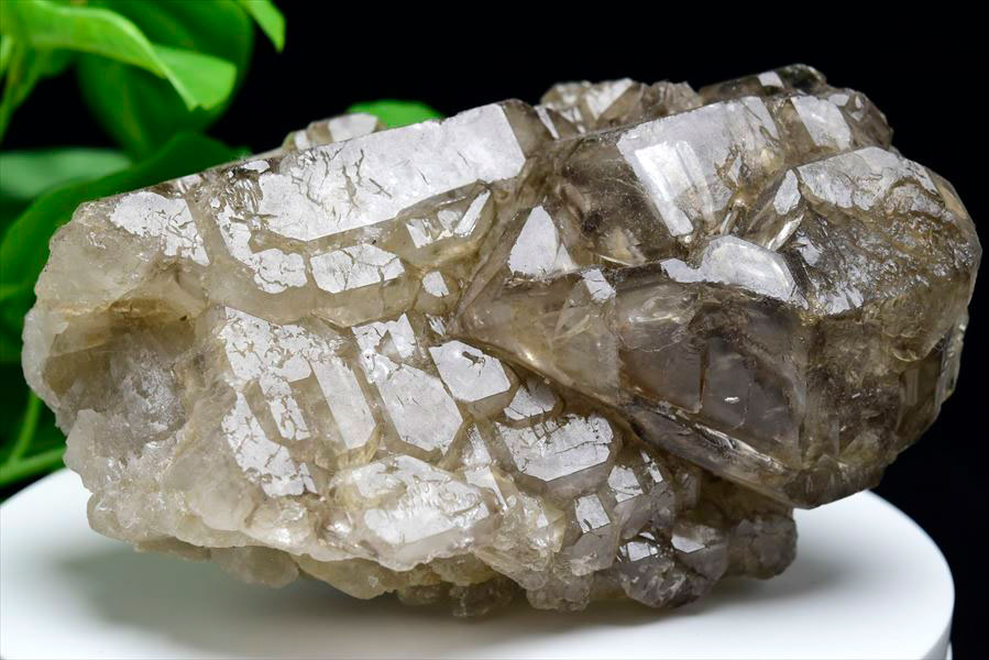 楽天市場】スモーキー アリゲータークォーツ ジャカレー水晶□ブラジル