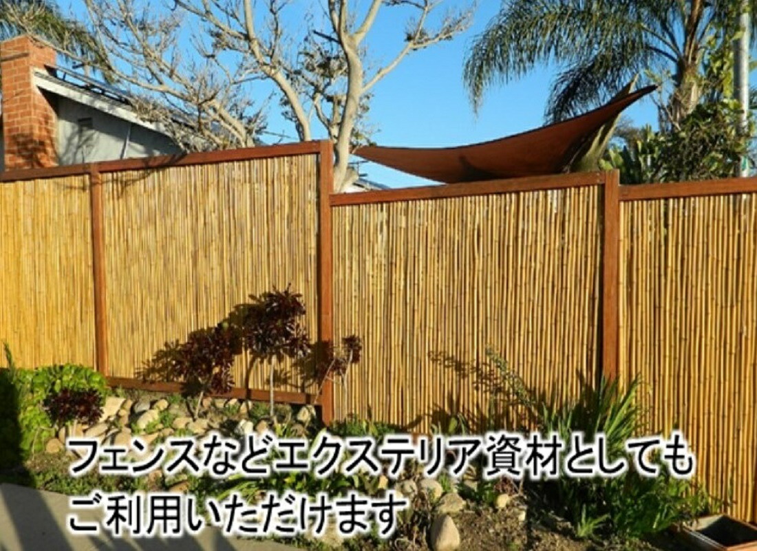 楽天市場】女竹 240cm 50本 （篠竹）農業用、園芸用の支柱として幅広く