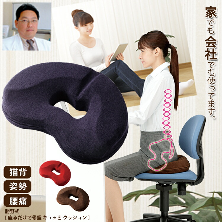 楽天市場】【5%OFFクーポン 3/4 20:00～】 【医学博士監修】 骨盤矯正