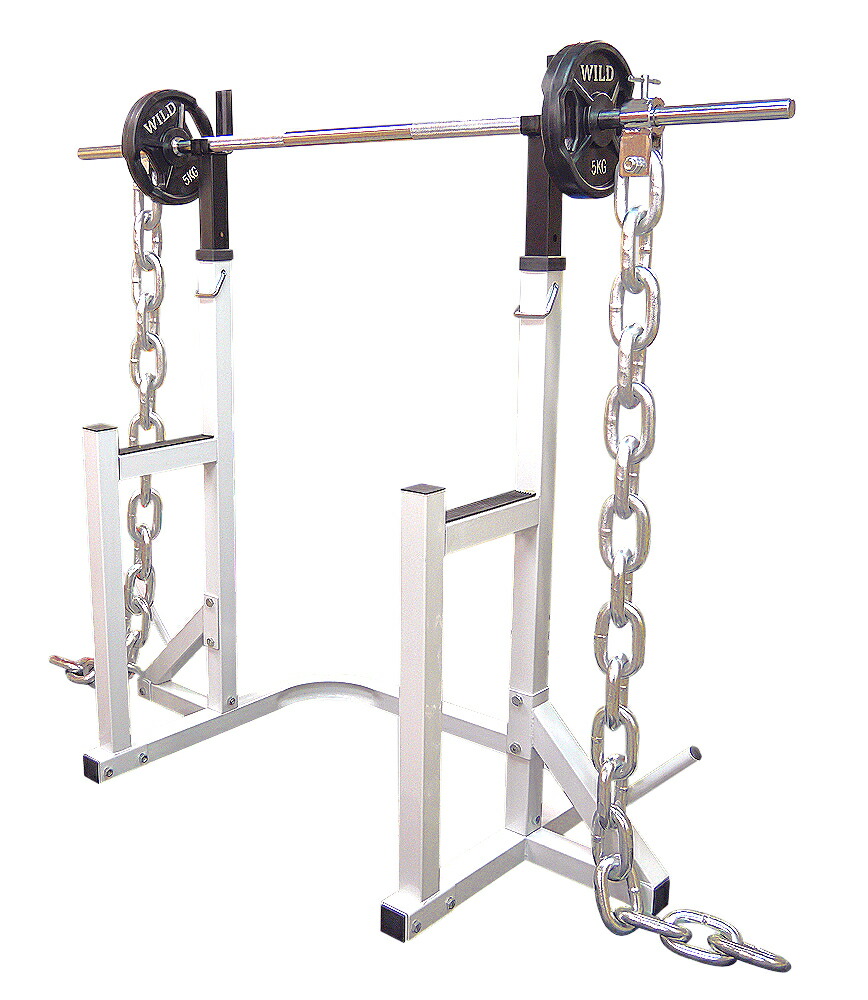 楽天市場】トレーニングチェーン Φ28mm用 (15kg×2本)送料無料 ジム