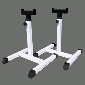 楽天市場】WILD FIT (ワイルドフィット) トレーニングジムセット 白