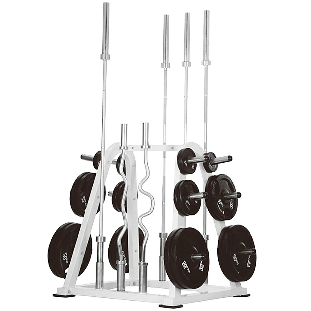 楽天市場】WILD FIT(ワイルドフィット) オリンピック バー＆プレート