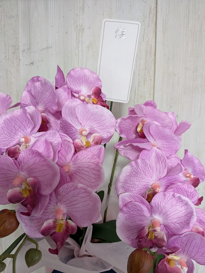 楽天市場】造花 御供えアレンジ 胡蝶蘭ポット 仏花アレンジ 触媒加工