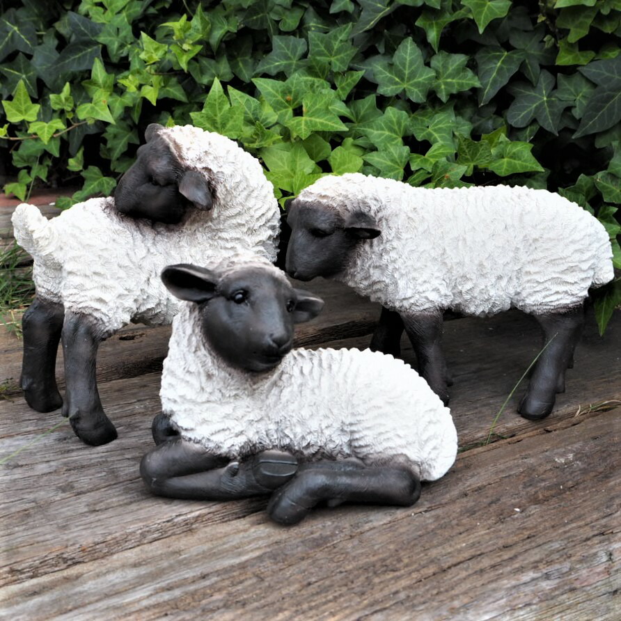 楽天市場】イタリア製 輸入雑貨 イヌ 犬 ダックスフンド 陶器 置物