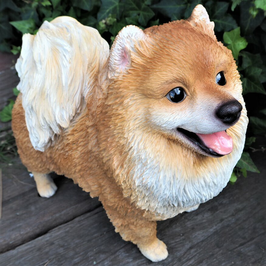 楽天市場】犬の置物 ポメラニアン N14102 いぬ イヌ 動物