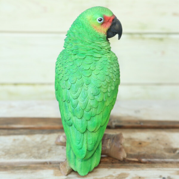 楽天市場】雑貨 置物・フィギュア：グリーンオウム*W-444 : 遊恵盆栽