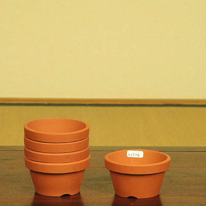 楽天市場】鉢：国産素焼き鉢 朱温 2号中深 5個セット*資材 : 遊恵