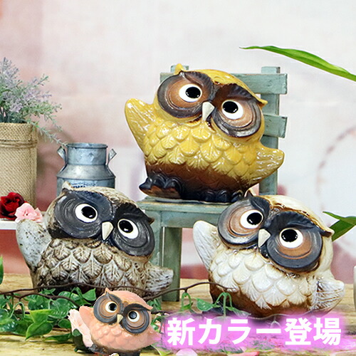 楽天市場】【今だけ限定15%OFFクーポン配布中】ふくろう 送料無料 踊り