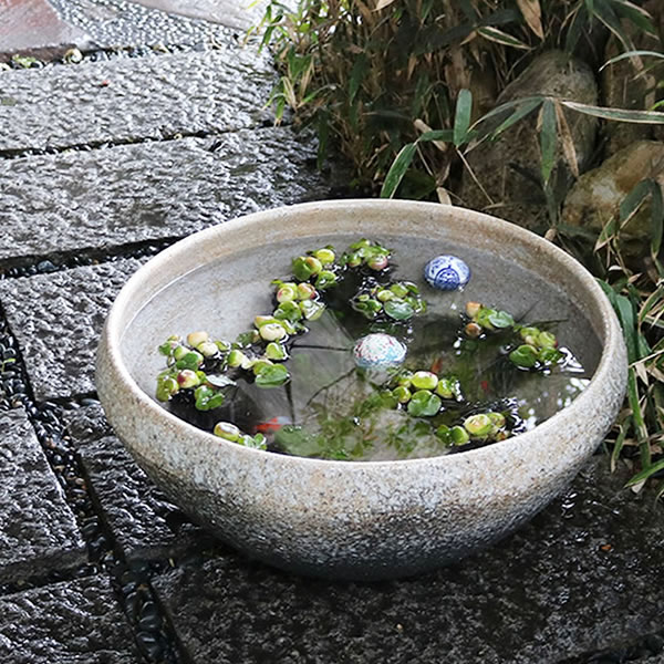 楽天市場】【今だけ限定15%OFFクーポン配布中】スイレン鉢 大型 陶器