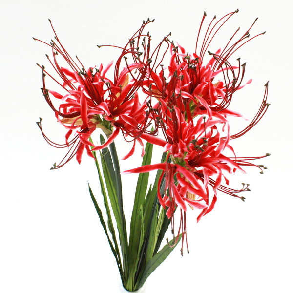 楽天市場】造花 彼岸花 3本セット 曼珠沙華 FM8392 シルクフラワー お