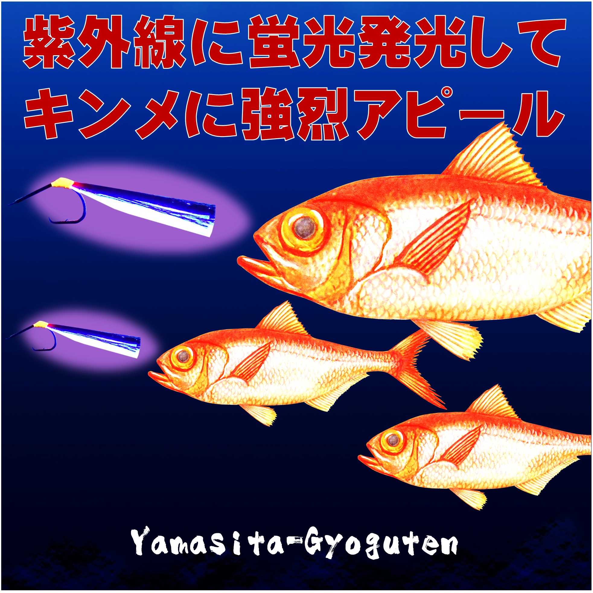 楽天市場】キンメダイ 仕掛け キンメ仕掛け 蛍光目玉付き ケイムラ