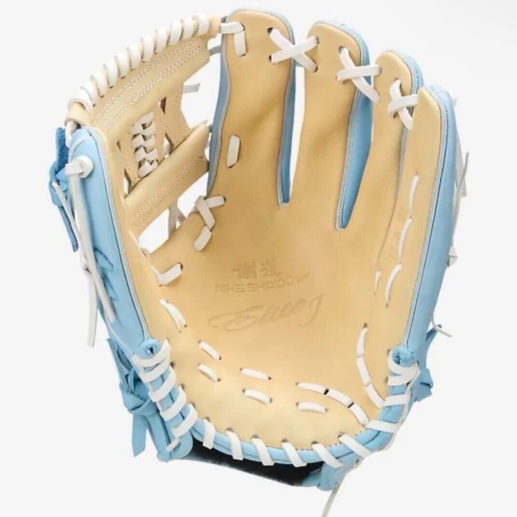 希少 NIKE ナイキ 謝道 グローブ グラブ マルチカラー - NIKE