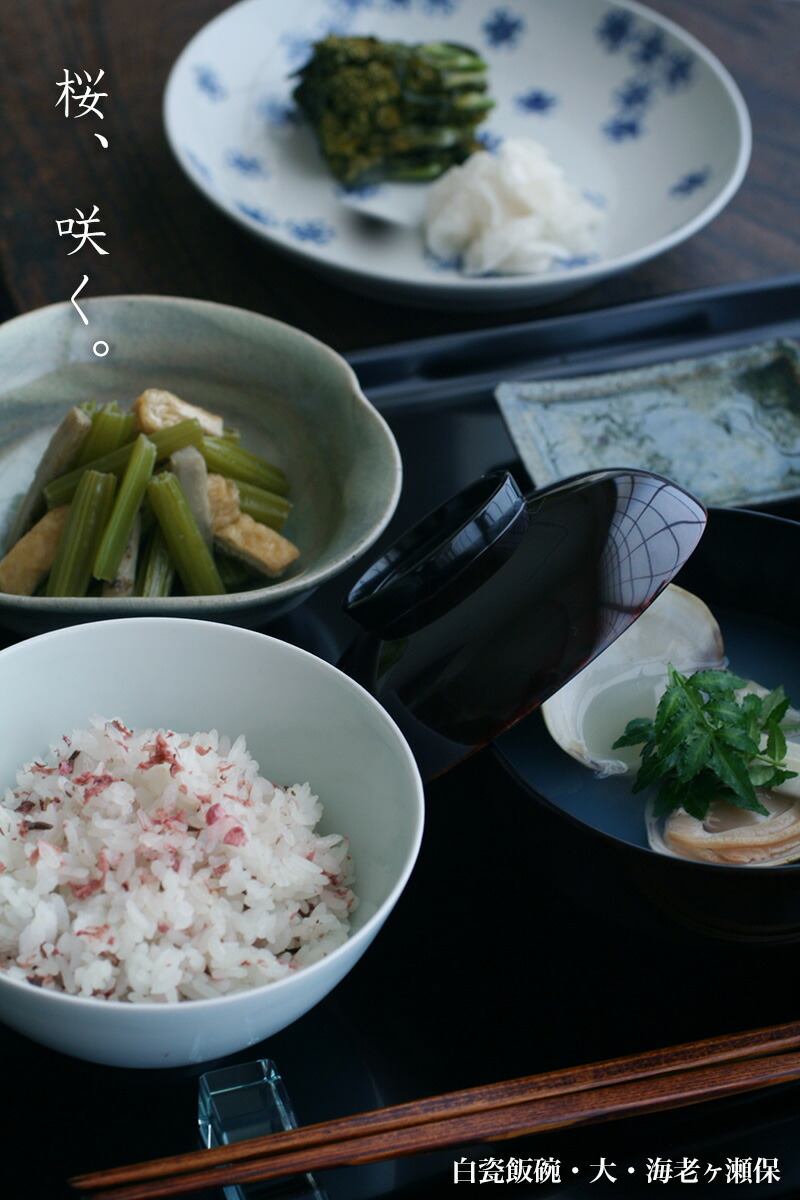 楽天市場】伊賀焼：雅造刷毛目蓮弁向付・土楽：福森雅武《小鉢・向付