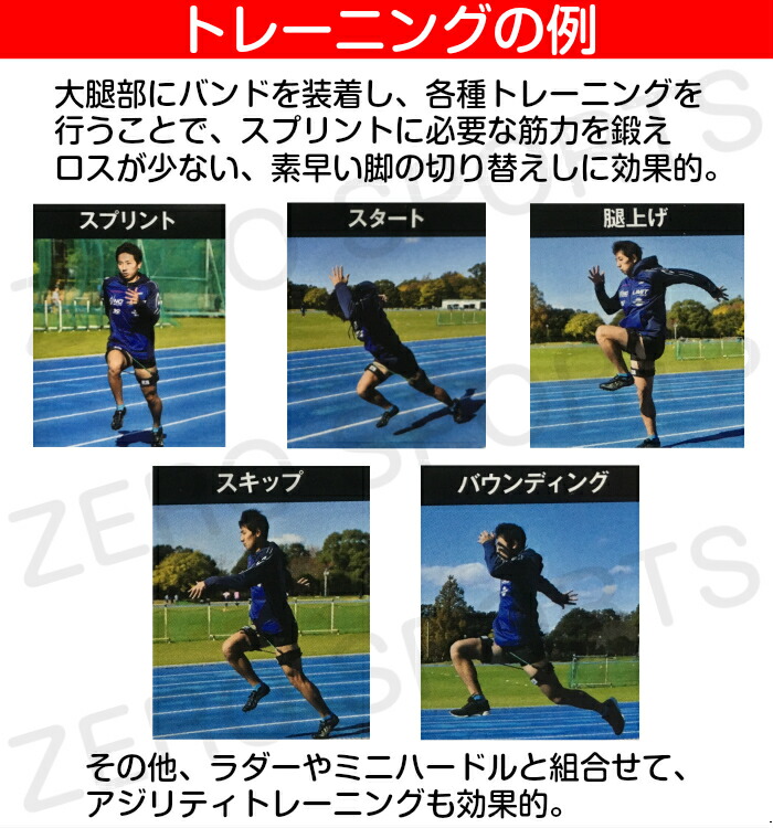 楽天市場】【あす楽】ニシスポーツ スピードバンド SPEED BAND [NT7427