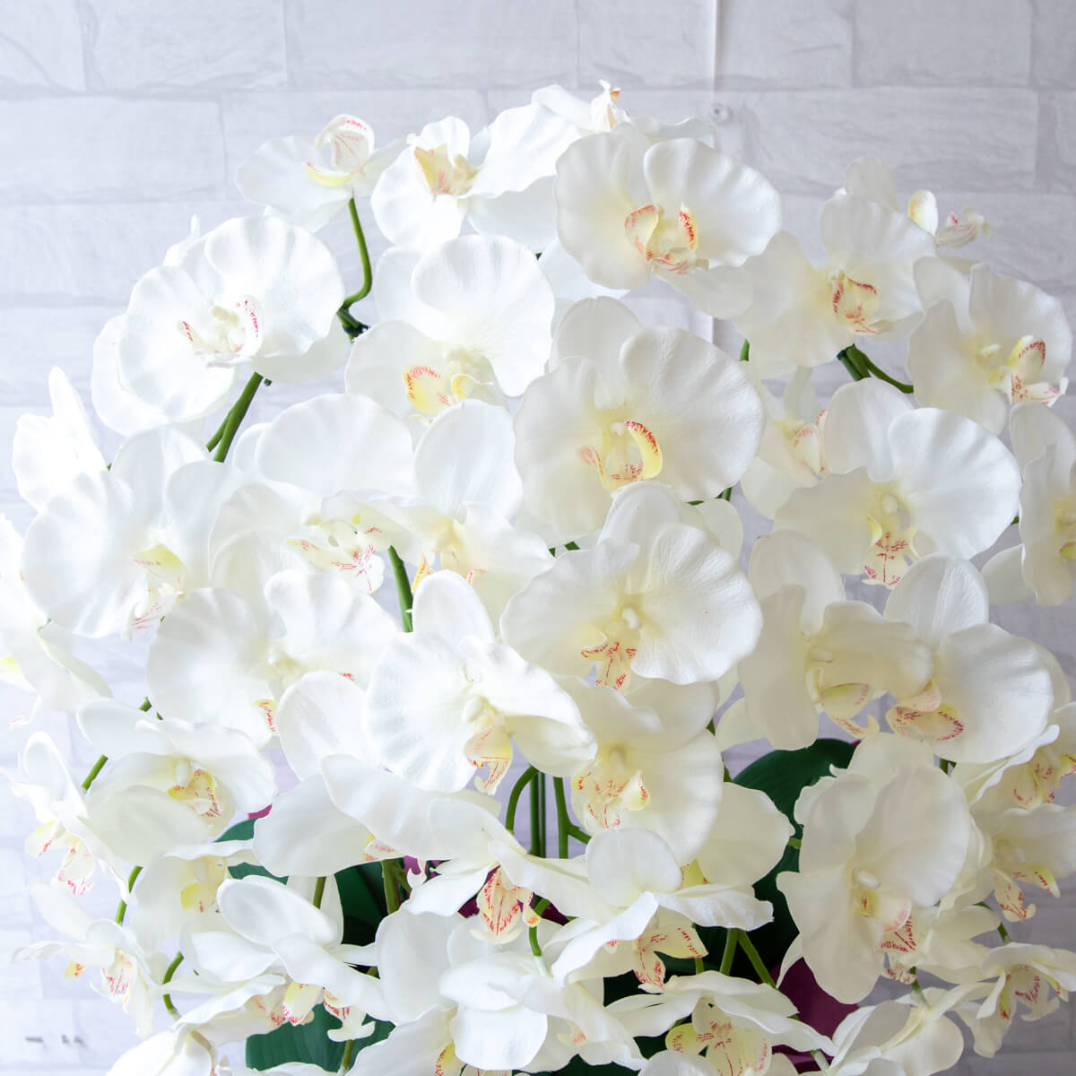 楽天市場】造花 胡蝶蘭/5本立ち/白(ホワイト)/H約75cm/紫ラッピング