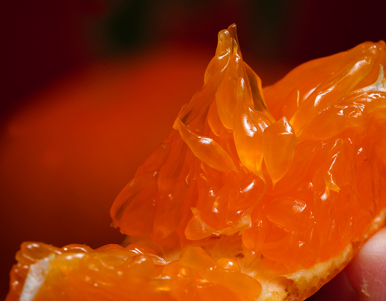 津之輝（つのかがやき）」佐賀県産 JAからつ 2S〜2Lサイズ 約2.5kg