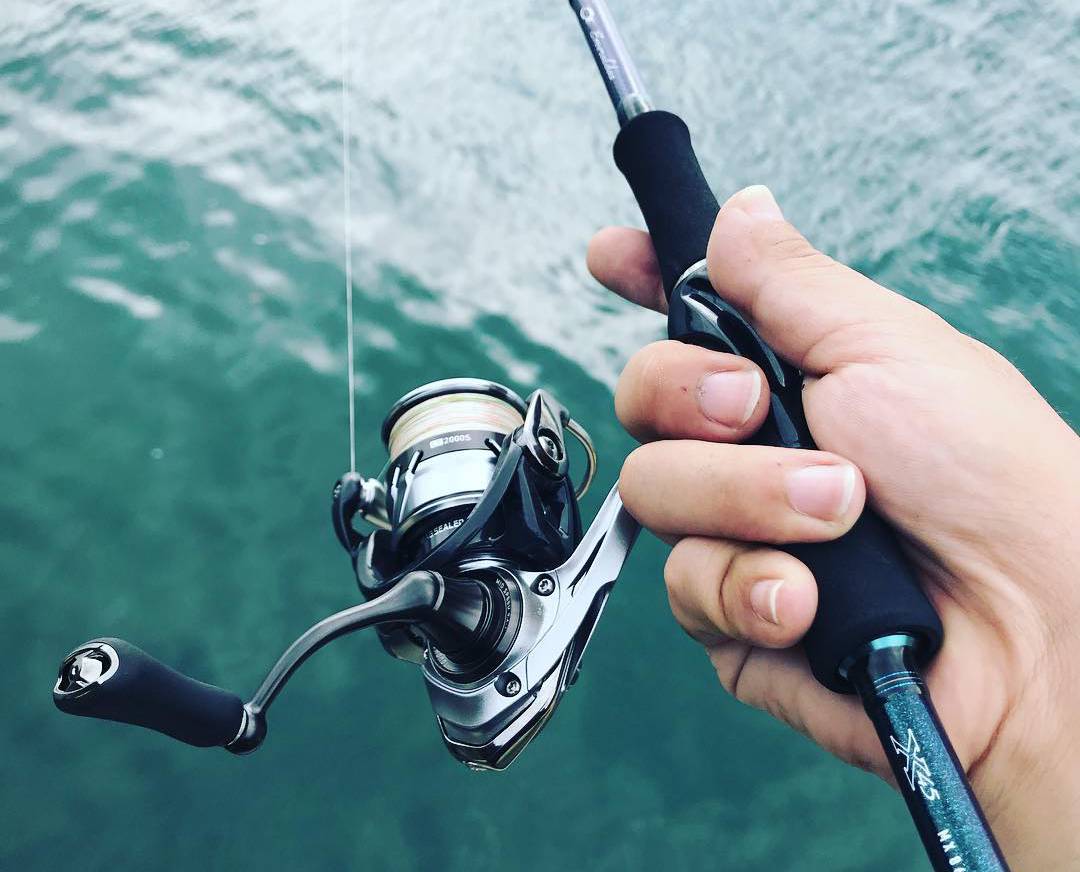 18 カルディア LT2000Sのスペック | 釣りクラウド