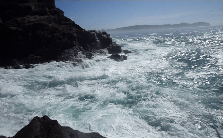 外房屈指の実績を持つ地磯『黒鼻の磯』 ポイント＆ルートを詳細解説