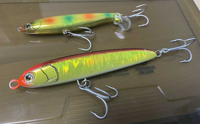 大人気サワラキャスティングゲーム入門 ルアーアクション（動かし方）3