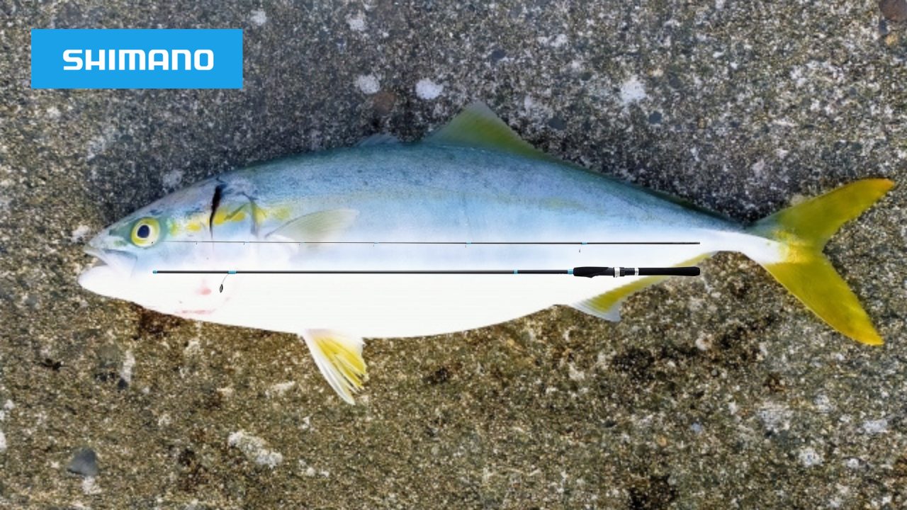 ルアーマチックS86MLで青物釣り！購入前に知っておくべきポイント
