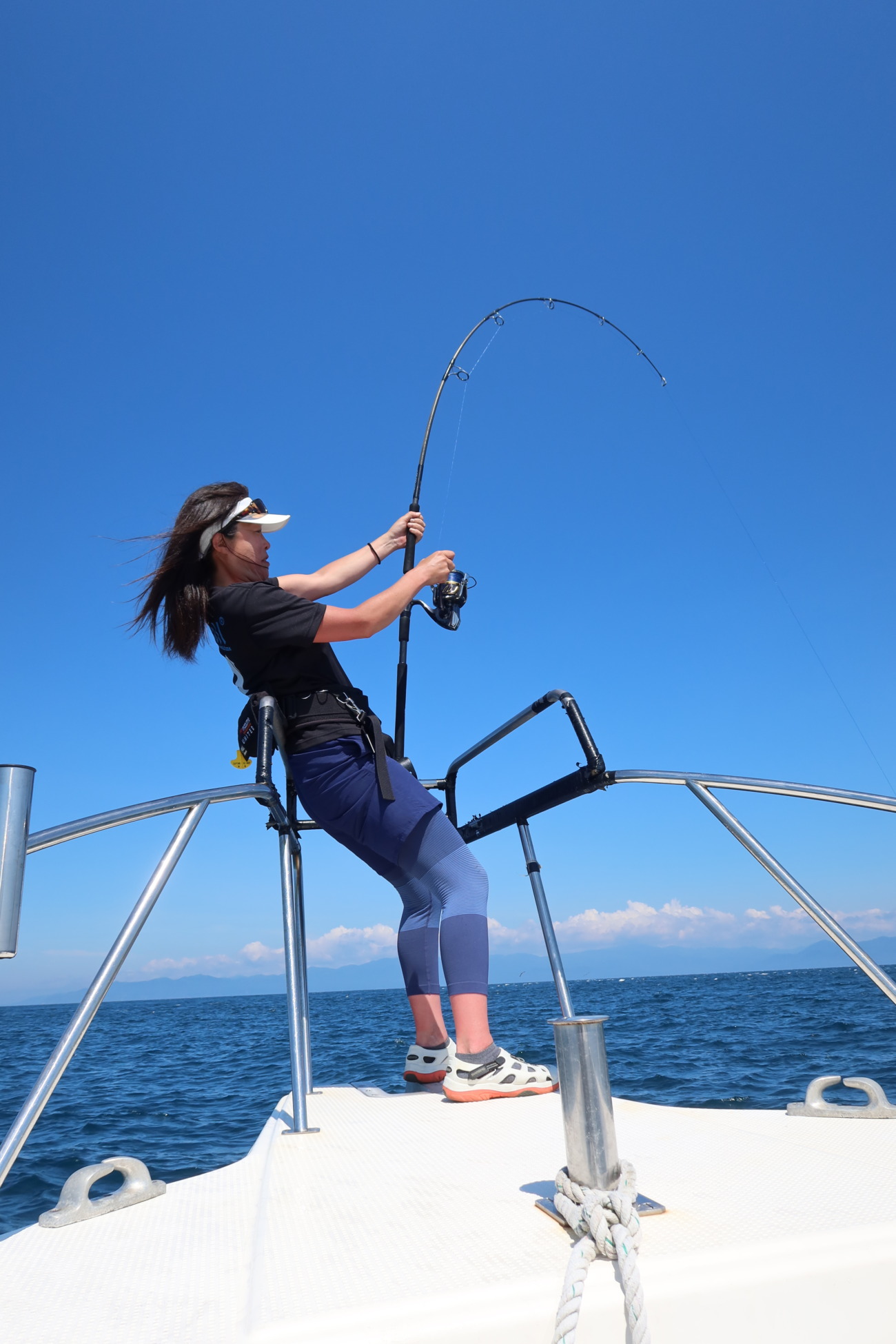 WhiteInsight 8010 | TRUTH JAPAN