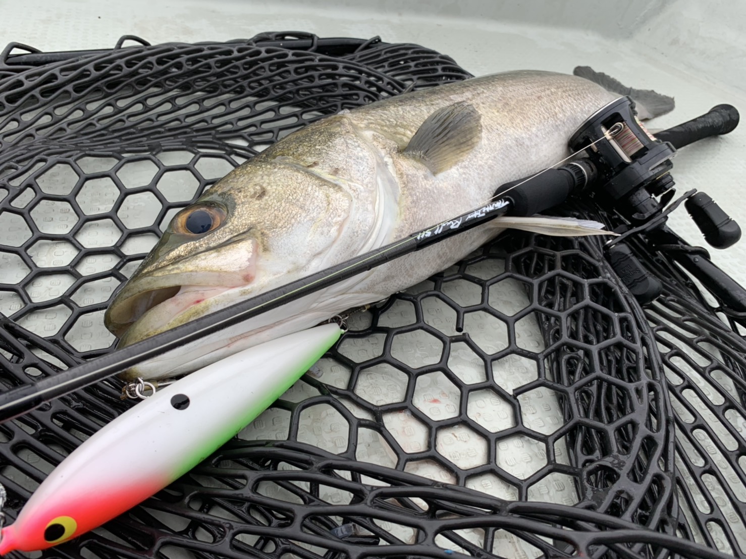 Rucell 511 | TRUTH JAPAN