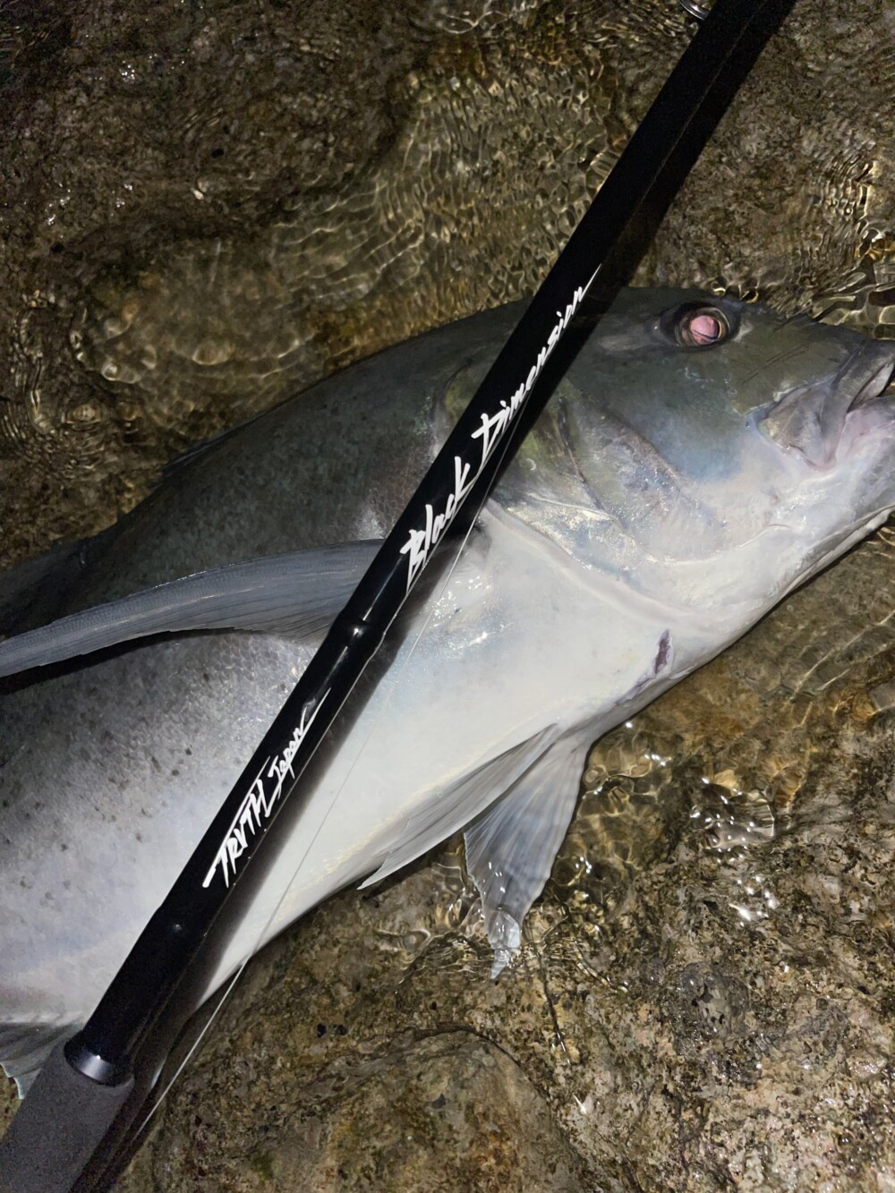 鹿児島県 堤防GT (BlackDimension106MR) | TRUTH JAPAN