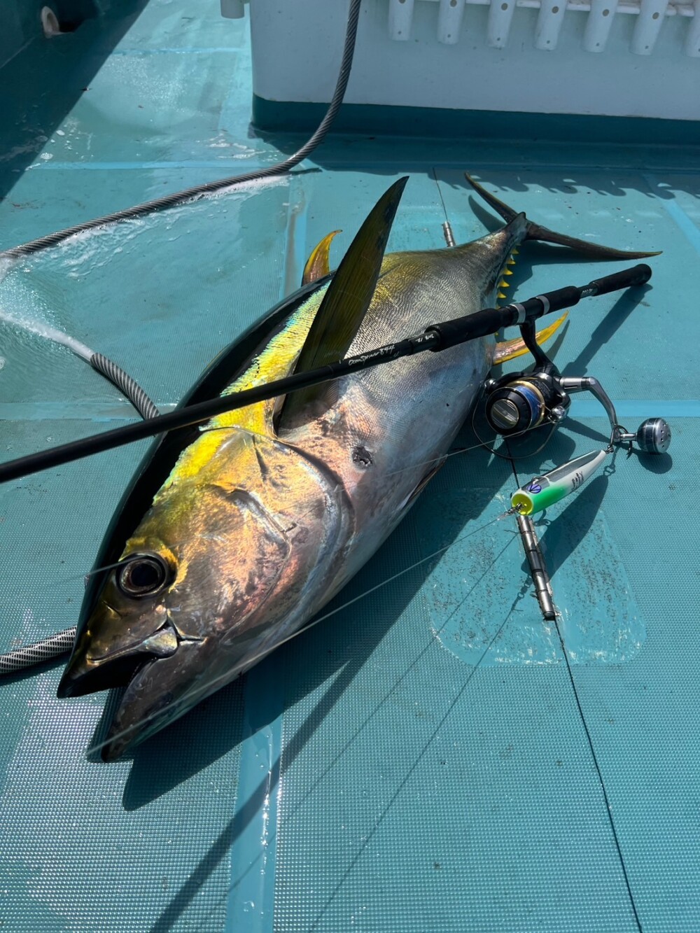 OceanSprinter 844 | TRUTH JAPAN