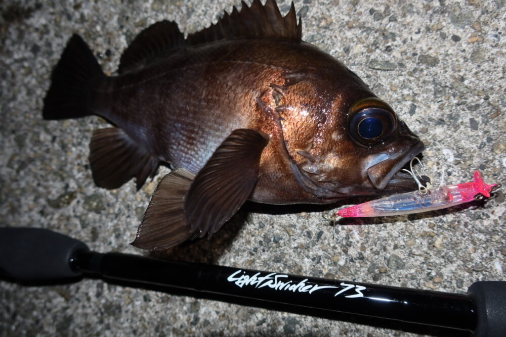 LightSwicher 73/78 | TRUTH JAPAN