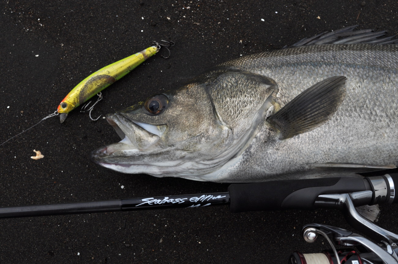 Trump711 S3 EDITION | TRUTH JAPAN