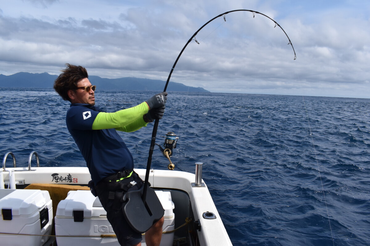 WhiteInsight 7610 | TRUTH JAPAN