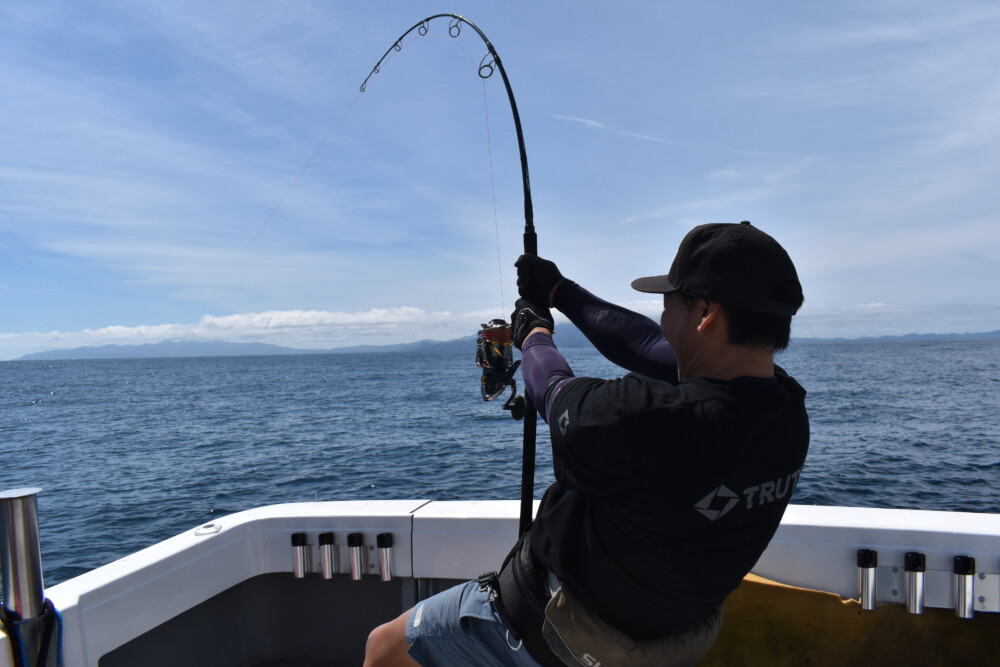 WhiteInsight 7610 | TRUTH JAPAN