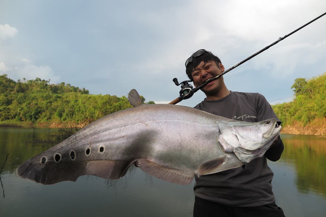 TULALA | Ford every stream | » El Horizonte 70