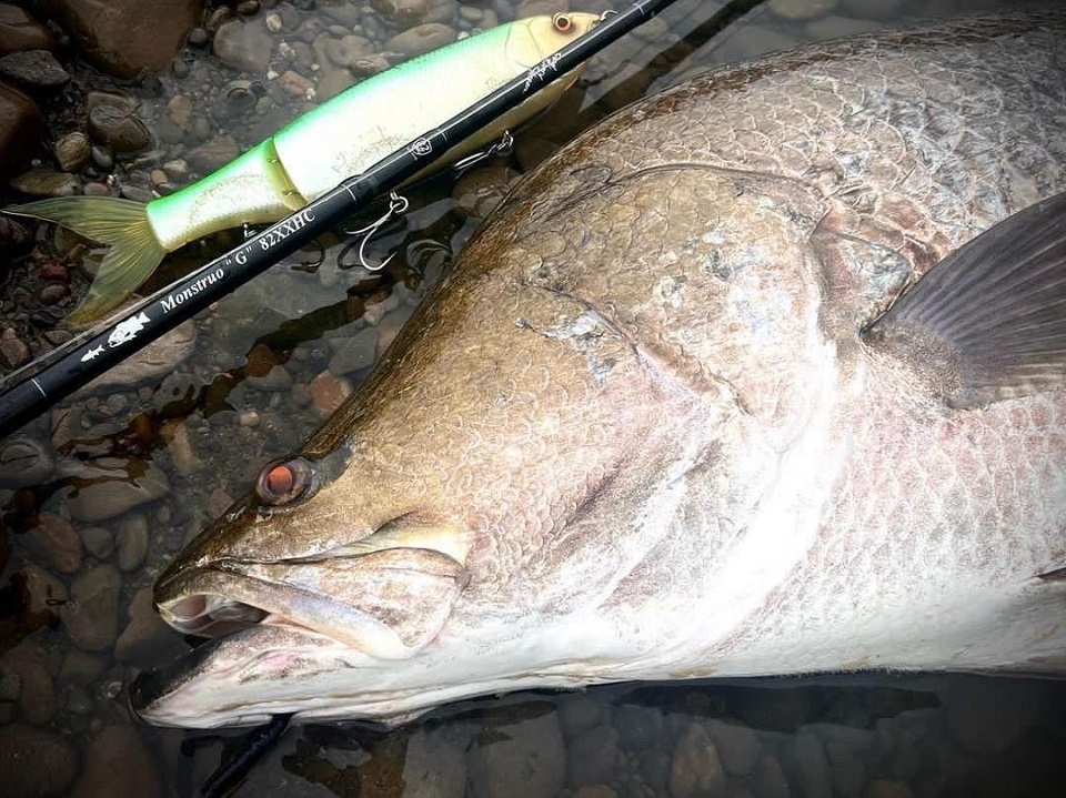 TULALA | Ford every stream | » 【公式】モンストロ “G” ってどんな竿