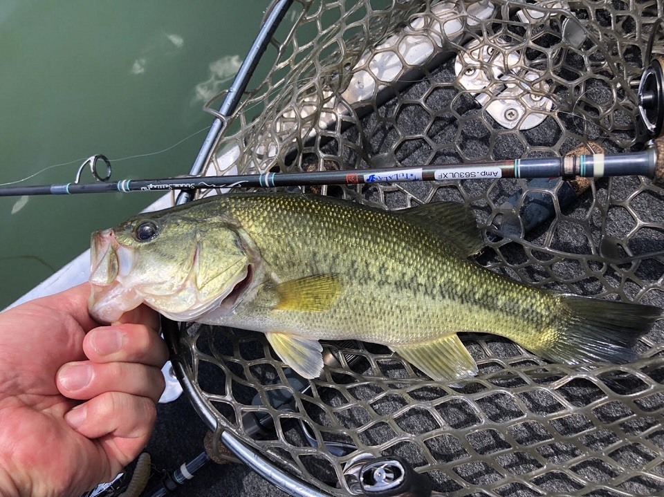 TULALA | Ford every stream | » 【STAFF】トーナメントスペック『バス