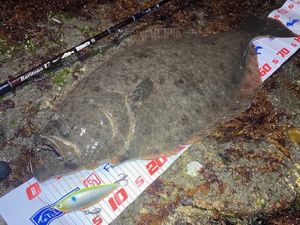 TULALA | Ford every stream | » 【STAFF】バリクラフト 山先氏監修