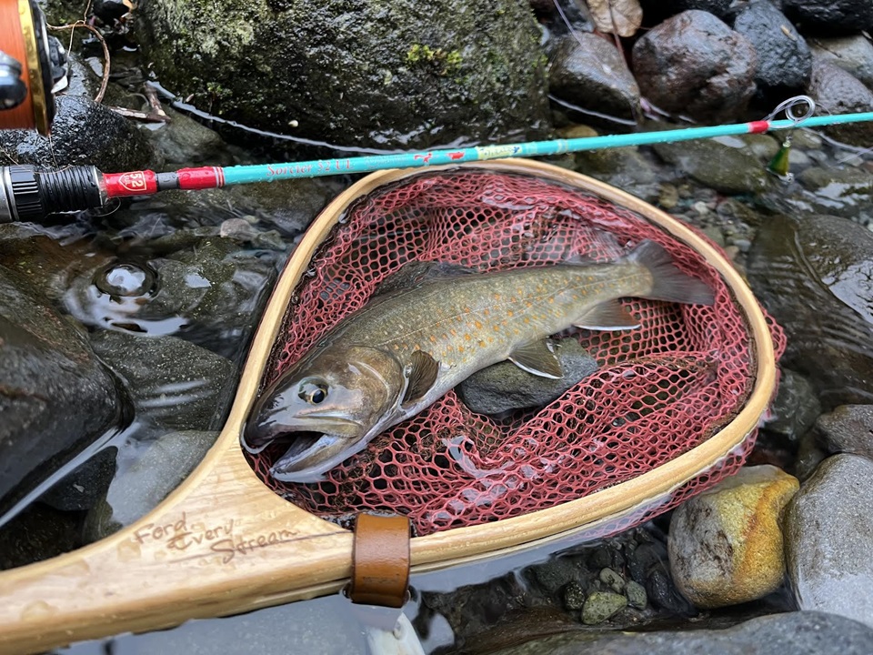 TULALA | Ford every stream | » 【STAFF】ソルシエ52ULの汎用性を再