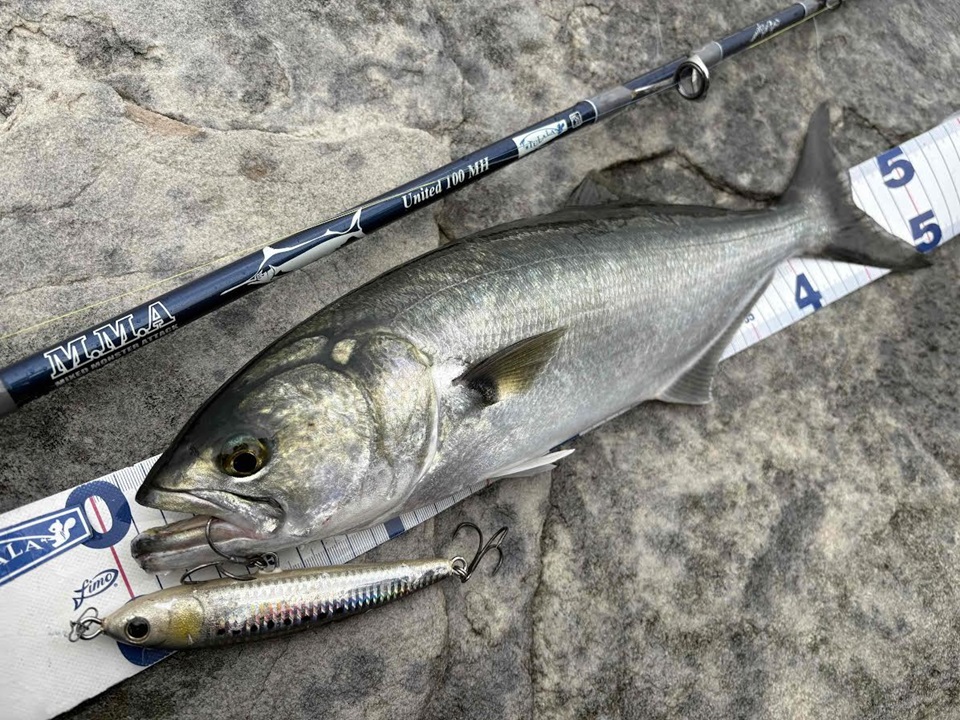 TULALA | Ford every stream | » 【STAFF】M.M.A United 100MH