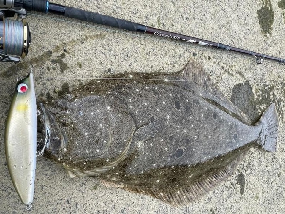 TULALA | Ford every stream | » 【公式】Ridgeline×TULALA