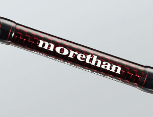 2/28まで！】ダイワ60th記念のブランジーノ94MLが登場（期間限定受注