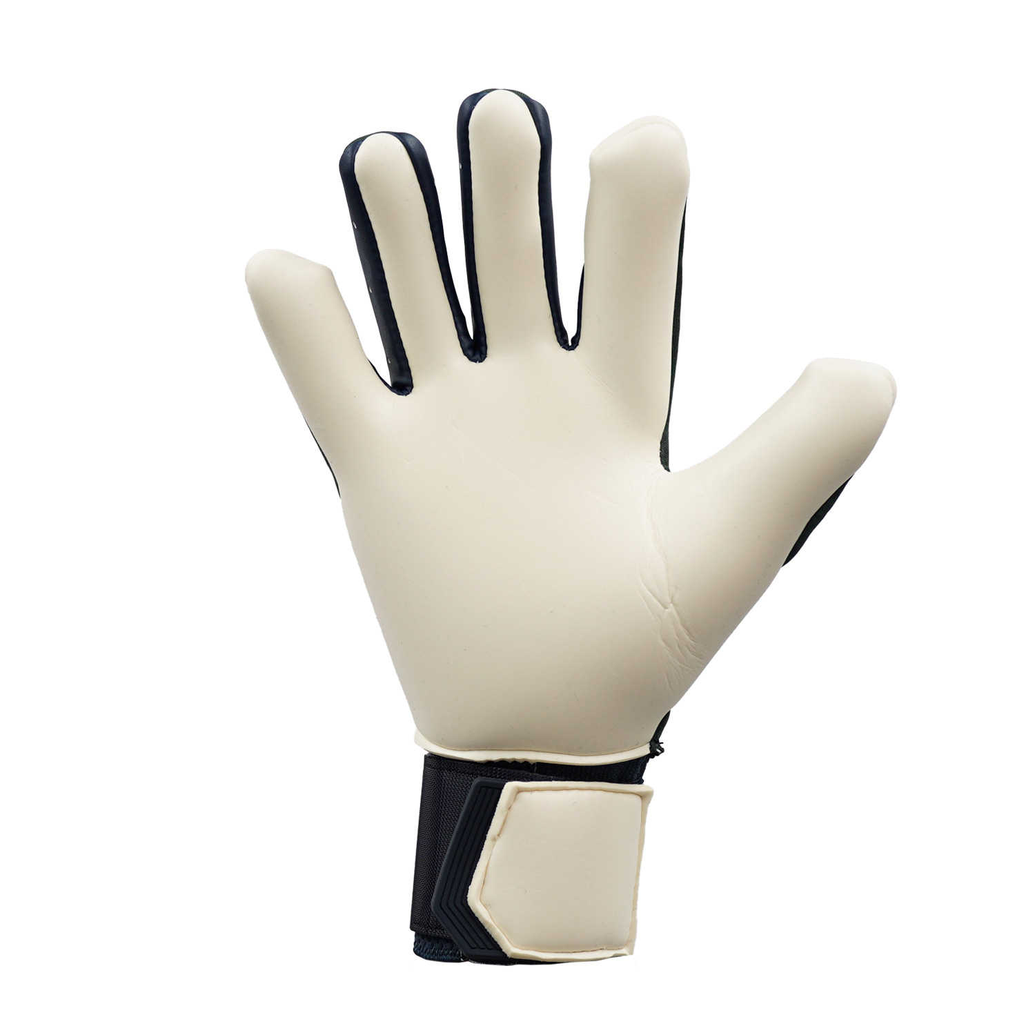 限定モデル】スピードコンタクト アース ピュアフレックス #101126201