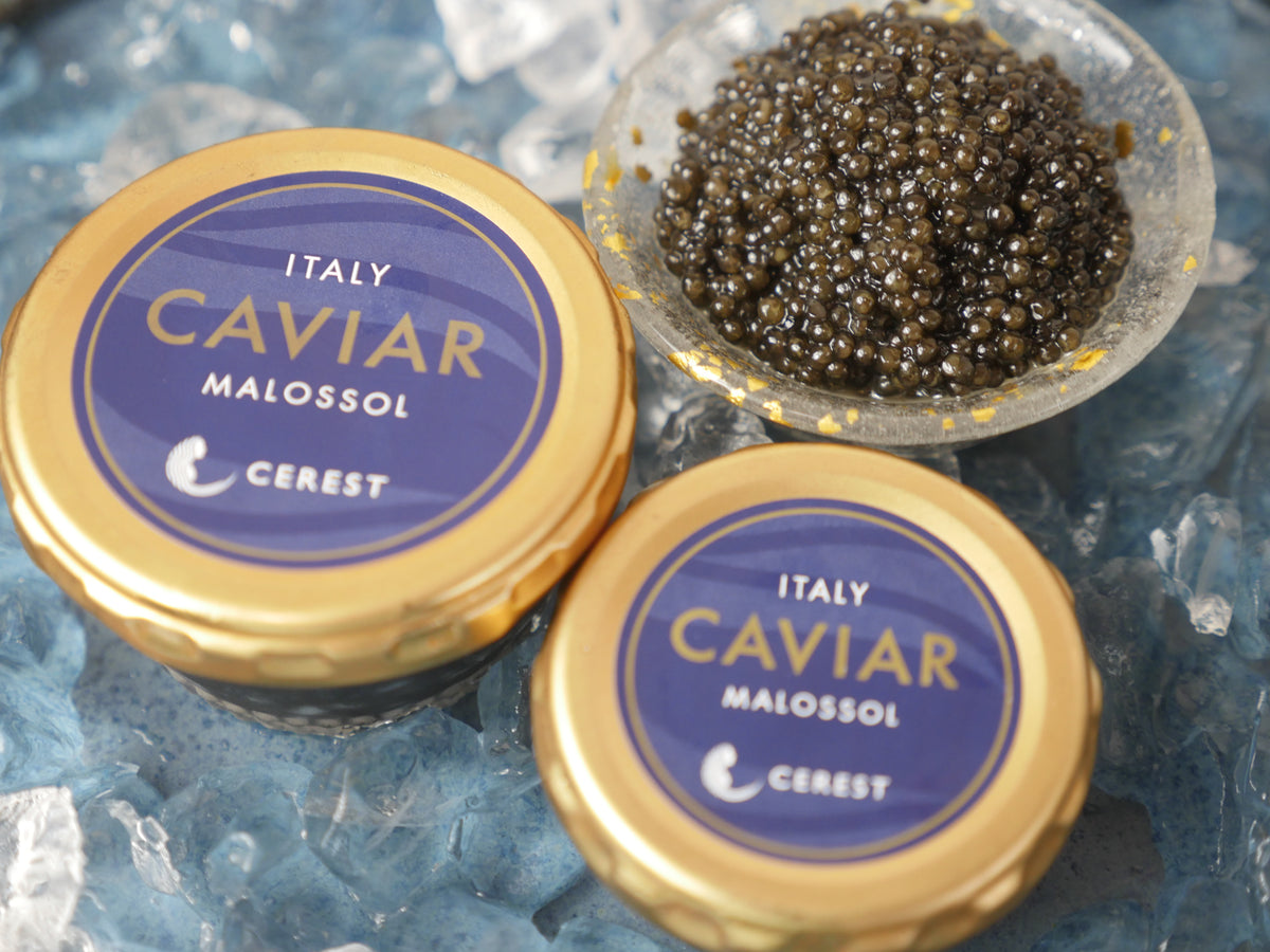 P1050196_0_1200x.jpg?v=1754389442