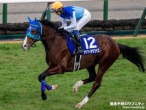 アーモンドアイが父イクイノックスの牡馬を出産！ 父母合わせてGⅠ15勝