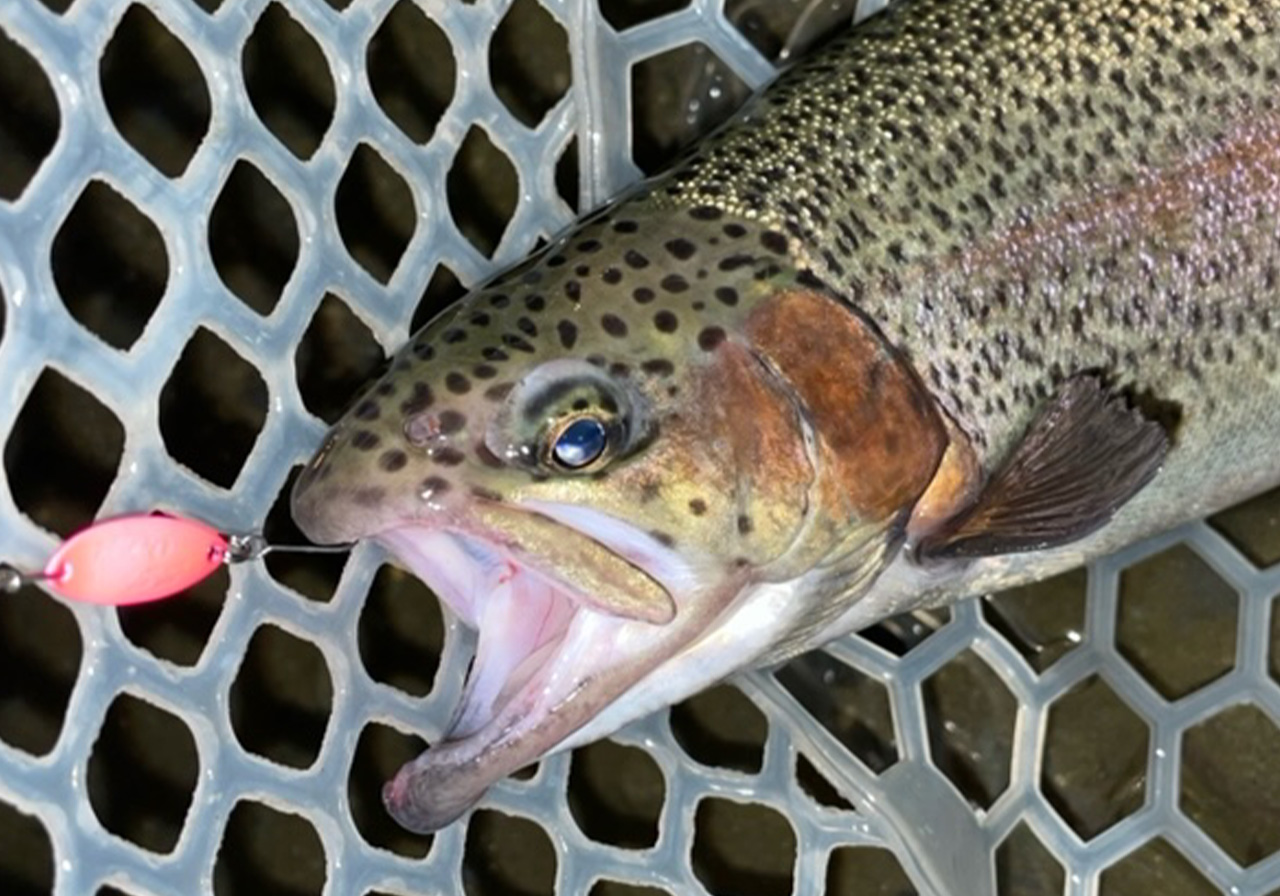 Servant Spear（サーヴァントスピア） | SPOONS | ValkeIN ヴァルケイン