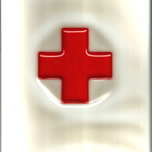 Trevor Brown Soft Cover Medical Fun